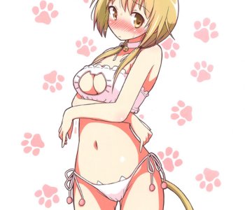 picture 12.jpg